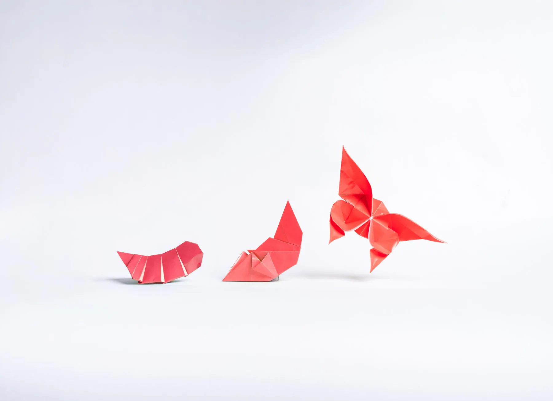 Telkom Luncurkan Program ESG 2024 sebagai Bagian Transformasi TelkomGroup