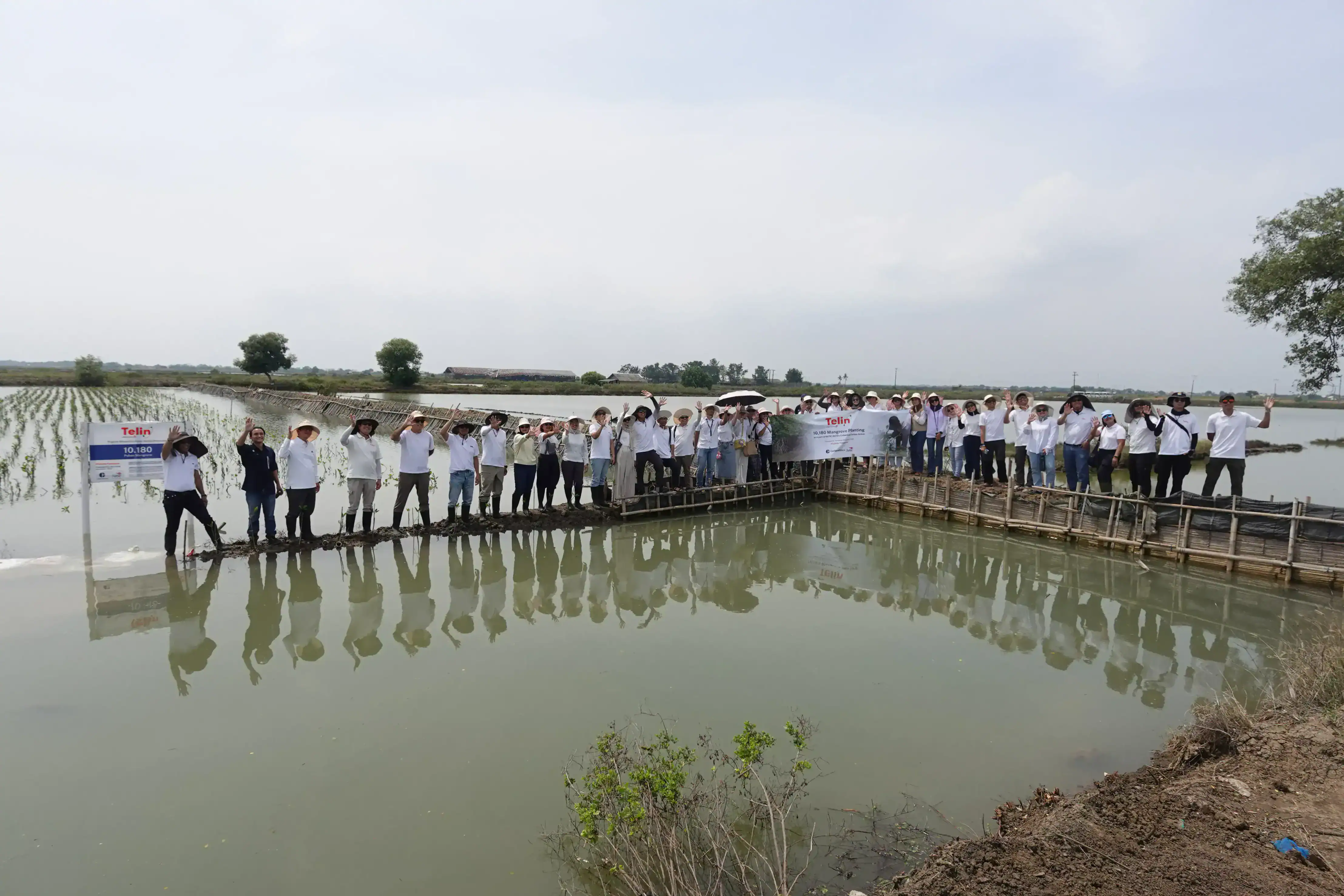 telkom Tanam 10.180 Mangrove