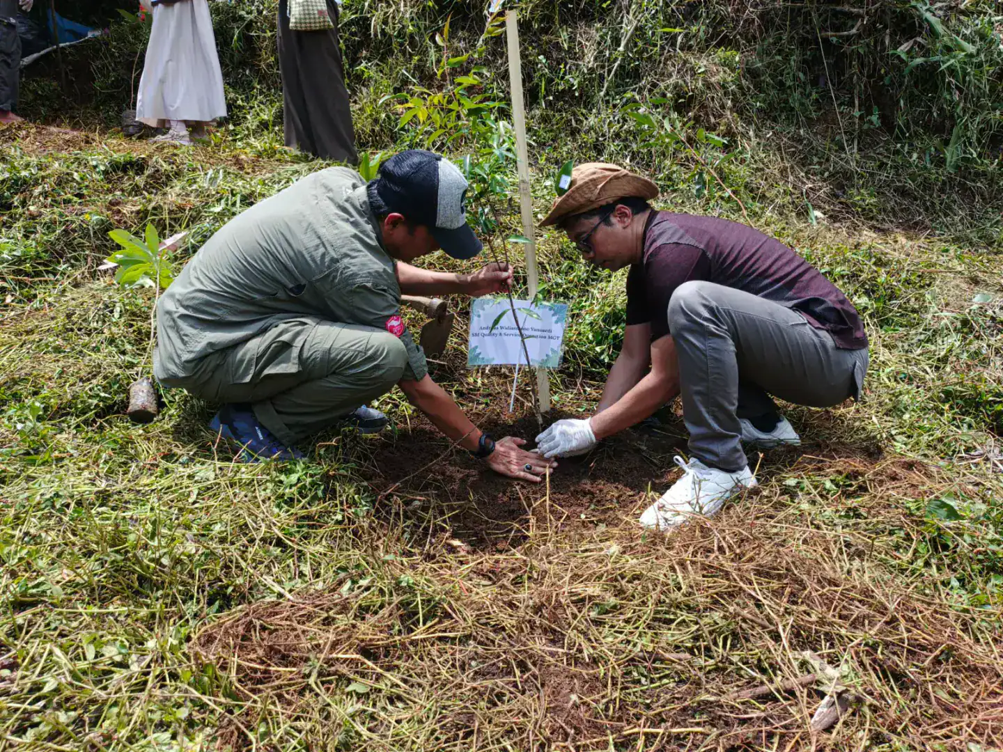 Jejak TESA: Menanam Pohon, Menumbuhkan Harapan