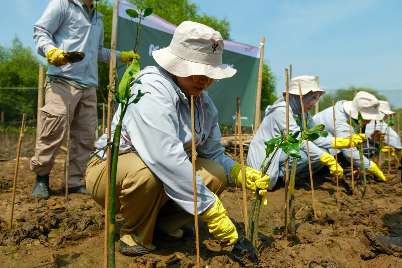 Cara Telkom Galakkan Penanaman Mangrove di Pesisir Semarang