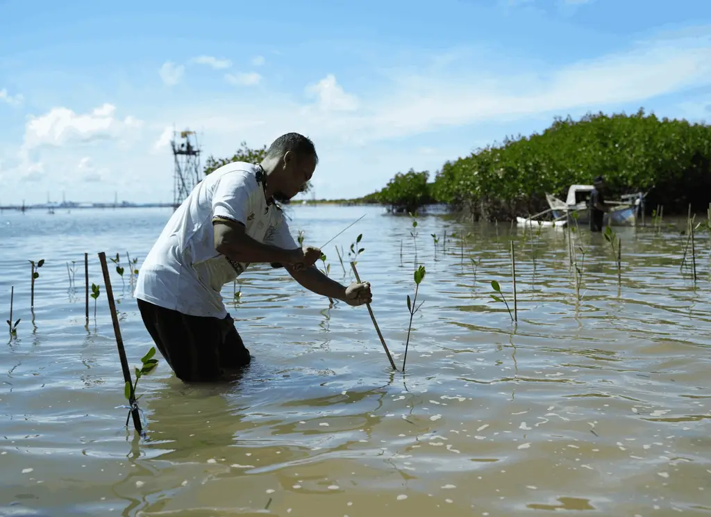 Telkom | Telkom Indonesia: Aksi Penanaman & Perlindungan