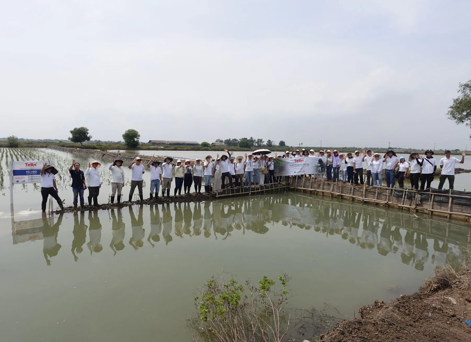 Tanam 10.180 Mangrove, Telin Wujudkan Komitmen Keberlanjutan BATIC 2025
