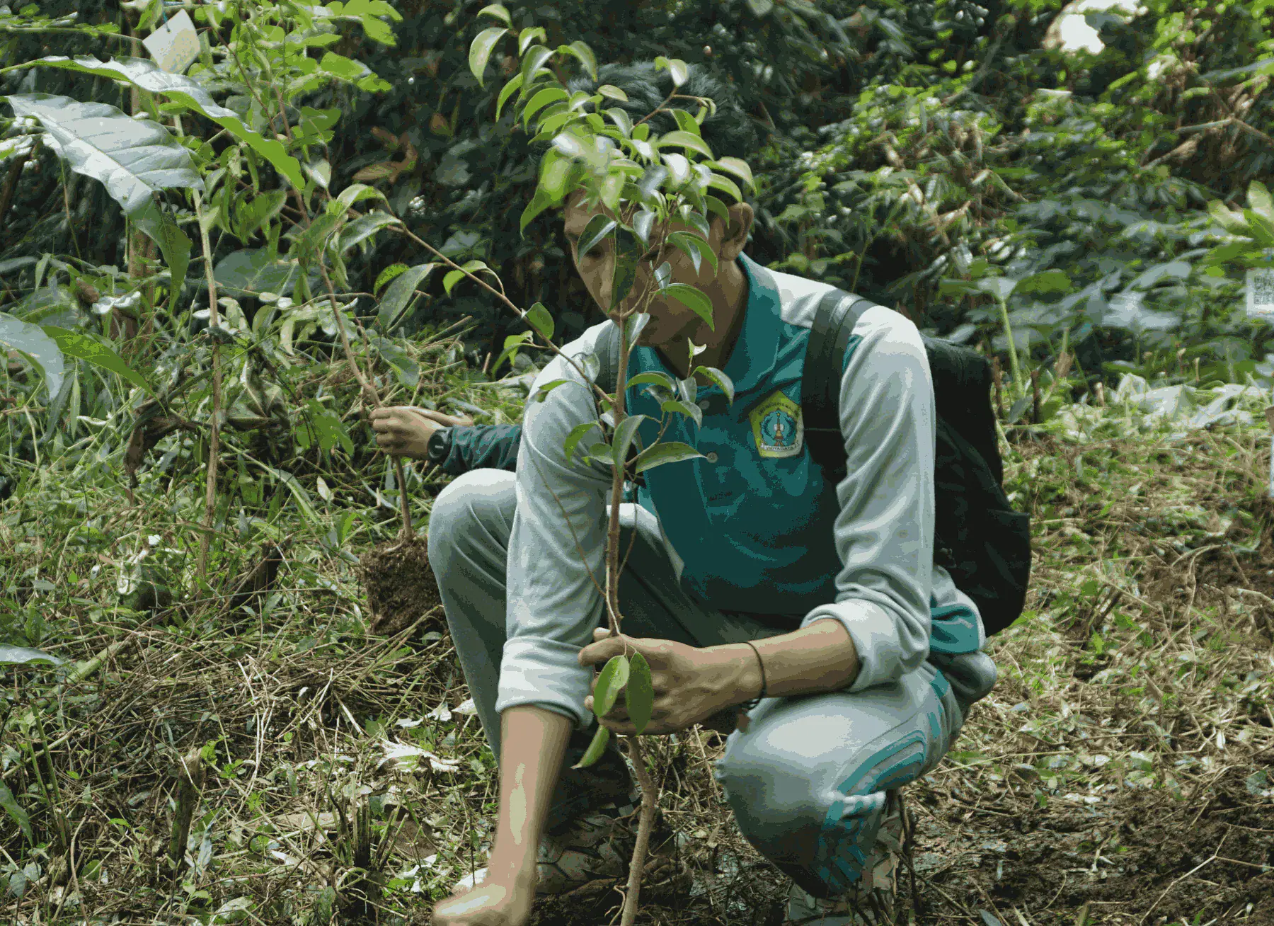 Building a Climate Action Movement: HPAI DPW Malang Raya’s Concrete Steps in Literacy and Conservation