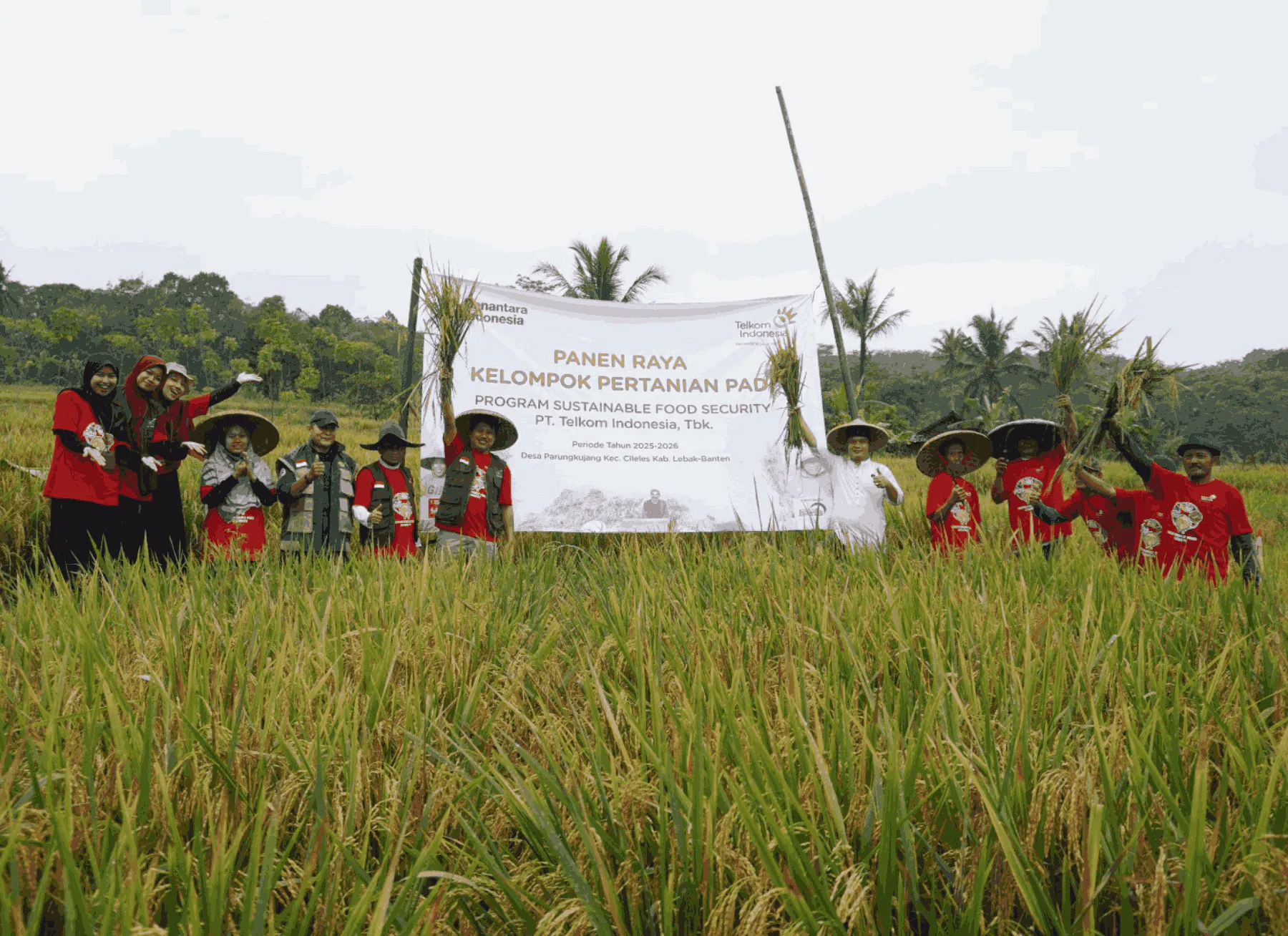 Telkom Strengthens Food Security Through Sustainable Farming Program