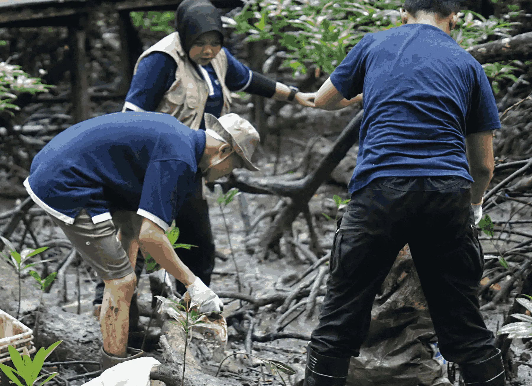Telkom and AYS Indonesia Collaboration Drives Ecosystem Restoration in Tarakan