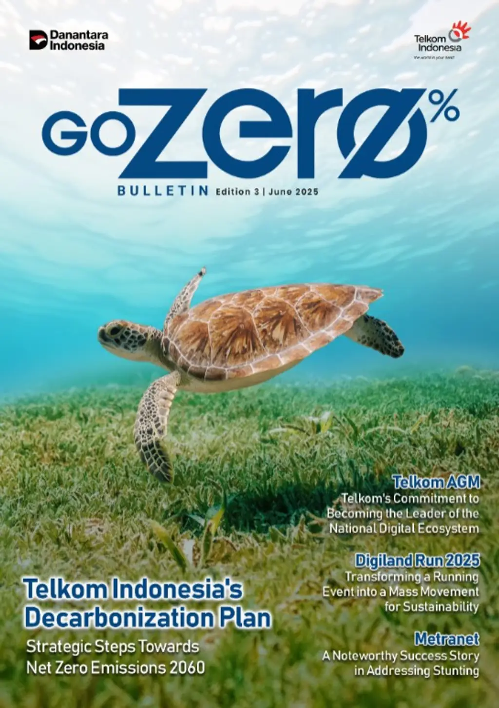 Report Cover
